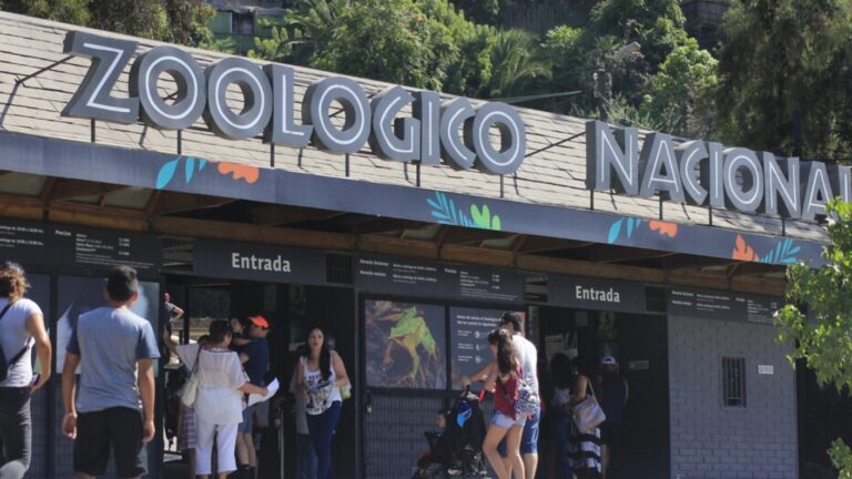 Paso a paso: Así puedes canjear las entradas gratis del Zoológico Nacional del Parquemet