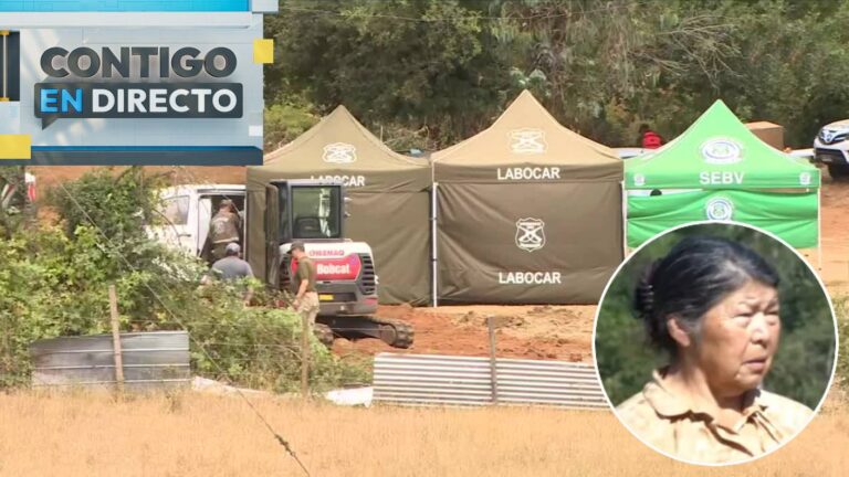 Por hallazgo biológico: Demuelen casa y bodega de Julia Chuñil en medio de su búsqueda