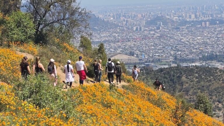 Carabineros y equipo de rescate encuentran a las nueve personas que se extraviaron en Cerro El Carbón