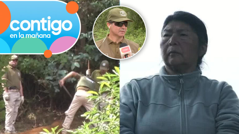 Entomólogo forense tomó muestras para dar con cuerpo de Julia Chuñil: “Hay dos aristas...”