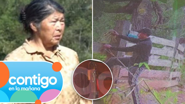 ¿Fingió perder las llaves? Registran extraño comportamiento del hijo de Julia Chuñil a meses de su desaparición