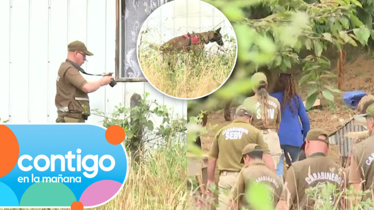 Unidad canina registra zona clave: Fiscal llega a la casa de Julia Chuñil por nuevos peritajes