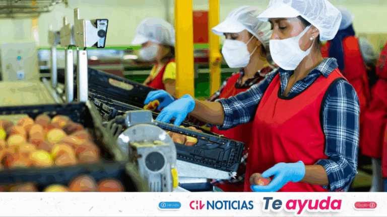 Bono al Trabajo de la Mujer se paga este viernes: Revisa con tu RUT si recibes el dinero