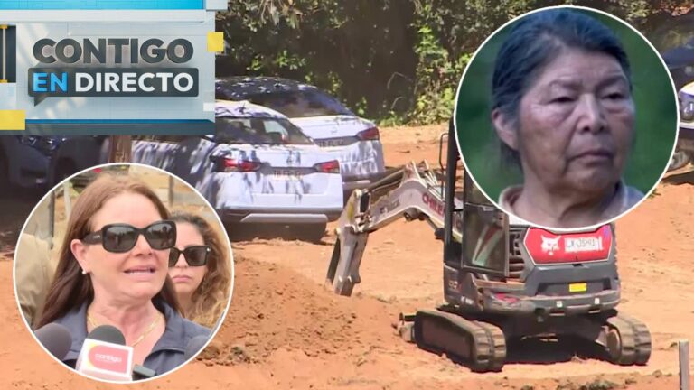 “Habría sido asesinada en este lugar”: Los antecedentes de Fiscalía sobre excavaciones en predio de Julia Chuñil