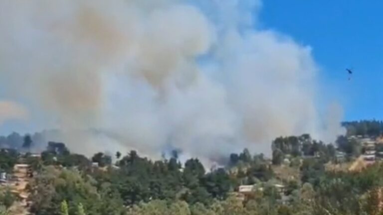 Senapred llama a evacuar sector de Laguna Verde por incendio forestal con peligro de propagación