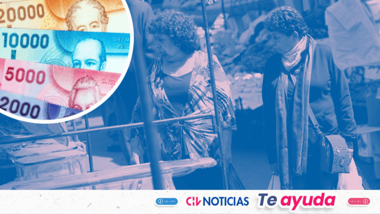 Bono de protección para dueñas de casa 2026: Revisa acá si lo obtienes sin postular