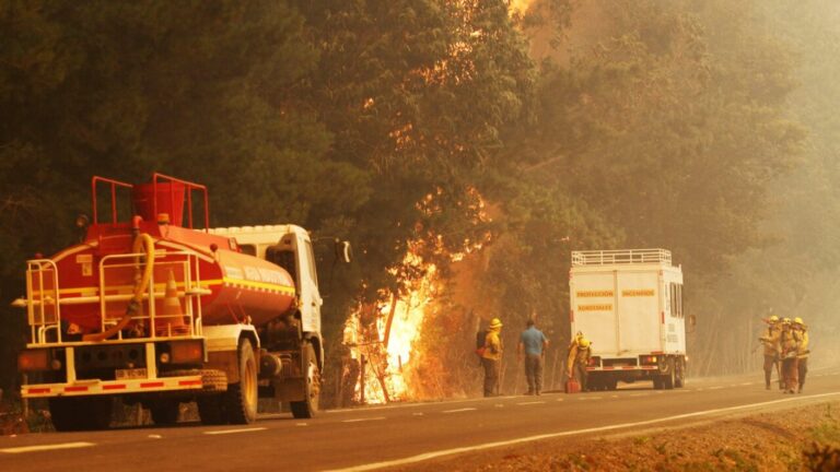 Alerta roja por incendio en Cauquenes: Reportan 400 hectáreas afectadas y viviendas destruidas