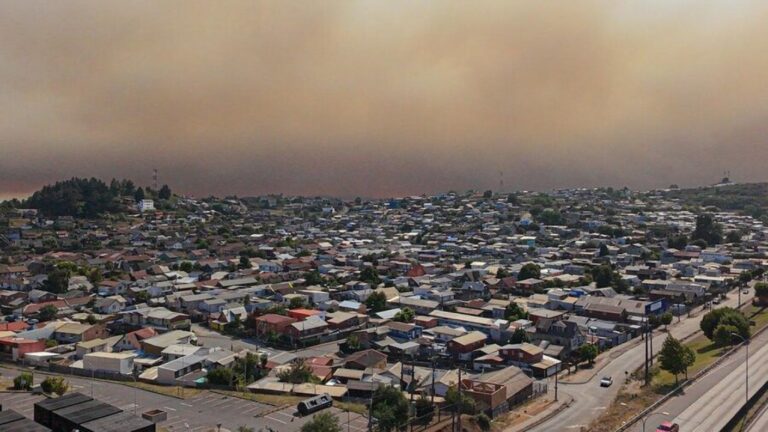 Conaf reporta 24 incendios forestales a nivel nacional: En Ñuble y Biobío fuego alcanzó viviendas