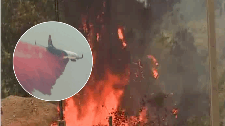 VIDEO | El momento en que avión Tanker ingresa a combatir incendio forestal en Biobío
