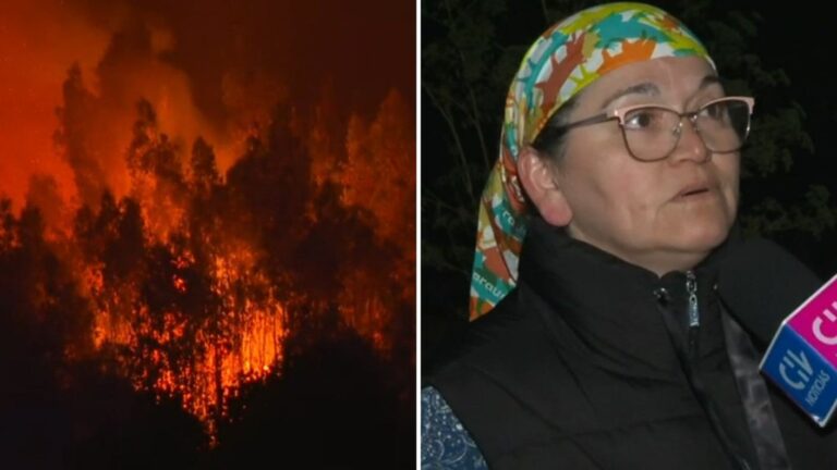 “Preocupa y asusta harto”: Así fue la tensa noche en Chaimávida por reactivación de incendio forestal