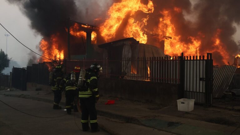 Tras alerta de vecinos: Detienen a sospechoso de iniciar focos de incendio en Punta de Parra
