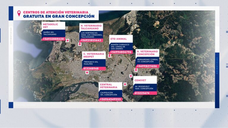 Incendios forestales en la zona sur: Revisa todos los puntos de atención veterinaria gratuitos en Concepción