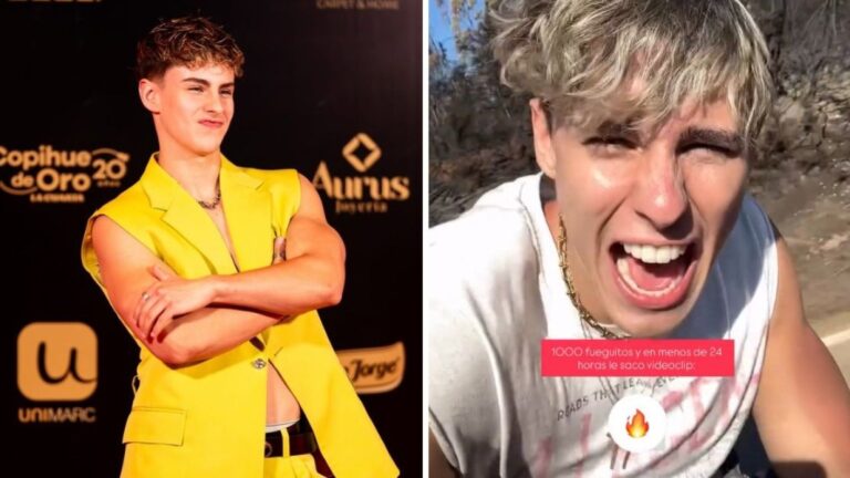 “1000 fueguitos”: Critican a influencer por “inoportuna” petición en medio de catástrofe en Biobío