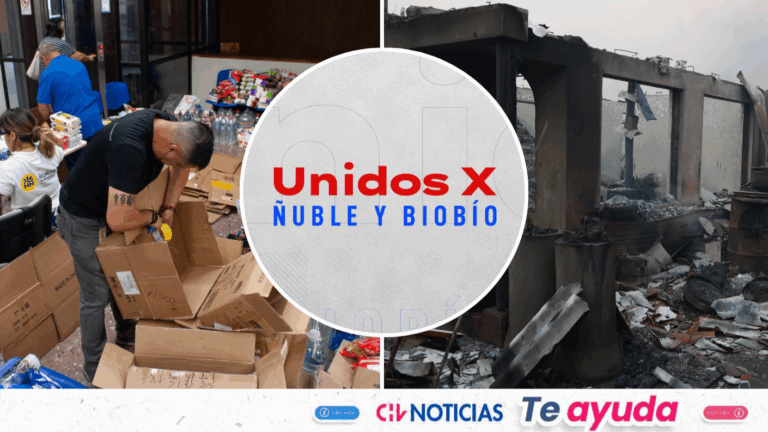 Unidos por Ñuble y Biobío: Cómo donar dinero a las organizaciones que serán parte de la cruzada solidaria