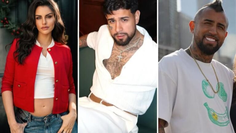 De Emilia Dides a Arturo Vidal: ¿Quiénes son las celebridades que han donado casas tras los incendios forestales?