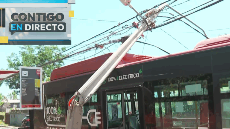 Poste cayó sobre bus RED en Peñalolén tras incidente en paradero: Vecinos afirman que es repetitivo