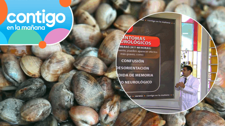 Alerta tras marea roja por toxina amnésica en Tongoy: Experto explicó síntomas y riesgos