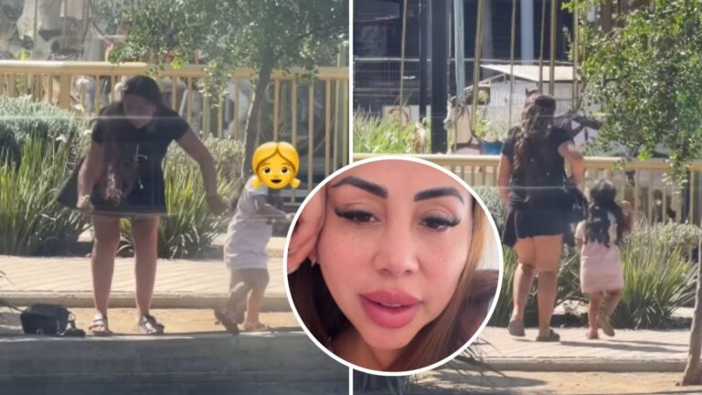 “Jamás le hicimos daño”: Supuesta mujer que robó a un pato en mall de Santiago contactó a Naya Fácil y pidió ayuda