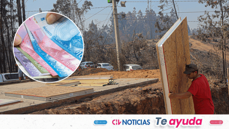 Bono de Recuperación: Confirman fecha de pago y el requisito clave para recibirlo por incendios forestales