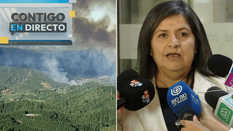 Decretan libertad para detenido por incendio en Penco: Quedó con arresto domiciliario y arraigo nacional