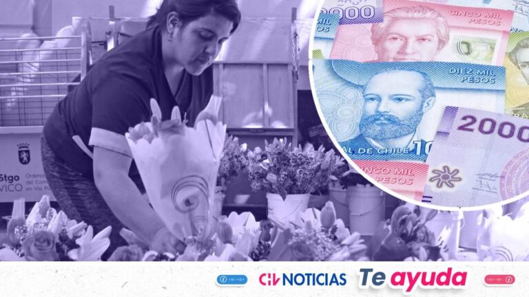 Mujeres pueden postular a cuatro bonos para recibir en enero de 2026: Revisa montos y requisitos
