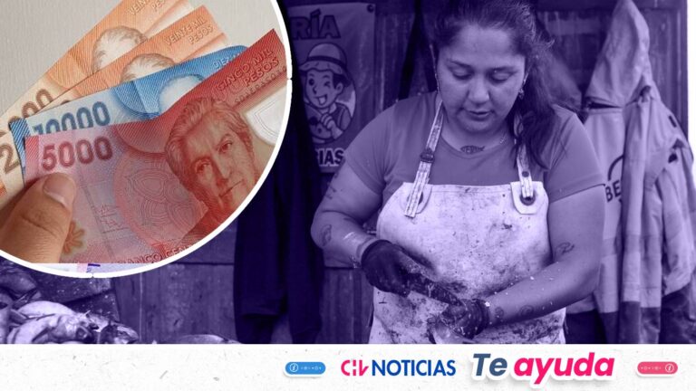 ¿Tienes entre 25 y 60 años? Revisa acá cómo obtener el Bono al Trabajo de la Mujer 2026