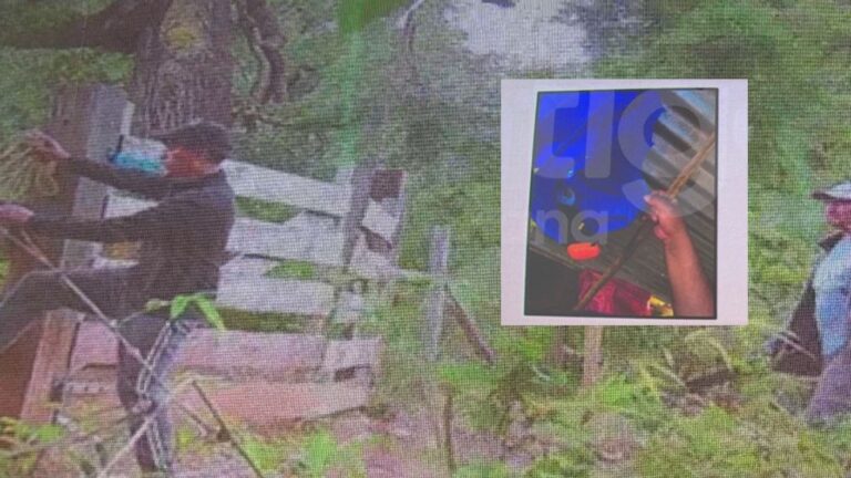 No solo testimonios: Las nuevas pruebas que complicarían a hijo de Julia Chuñil