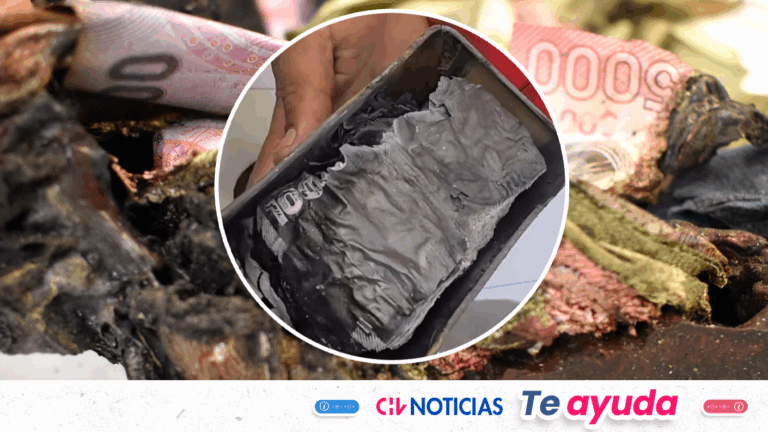 ¿Se puede recuperar dinero quemado por incendios? Banco Central explica qué hacer con billetes y monedas dañadas