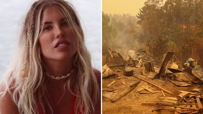 “Esperaré para llevar...”: El ingenioso aporte de Coté López a afectados por incendios forestales en el sur de Chile