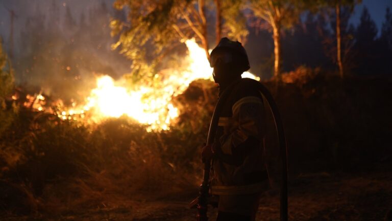 PDI confirma detención de sujeto por presunta responsabilidad en megaincendio en la región del Bio Bío