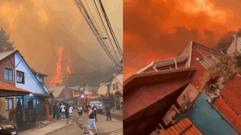 Fuego sigue amenazando zonas pobladas: Llaman a evacuar sectores de Trehuaco, Laja y Concepción