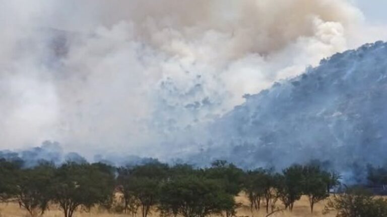 Hay alto peligro de propagación: Reportan incendio forestal en sector Lo Fontecilla en Lampa