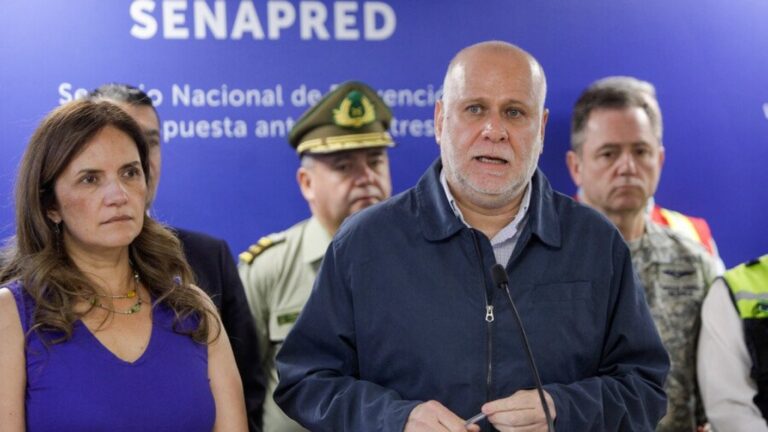 Gobierno confirma 16 muertos y 19 personas lesionadas por incendios forestales en Ñuble y Biobío