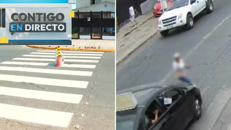 Exigen lomo de toro tras fatal accidente de adulta mayor en San Bernardo: Colectivo no respetó paso de cebra