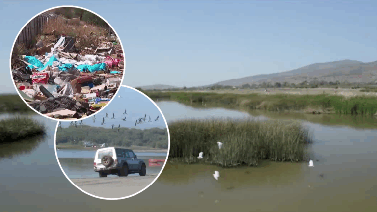 Llenos de basura y escombros: Importantes humedales en peligro por conductas irresponsables