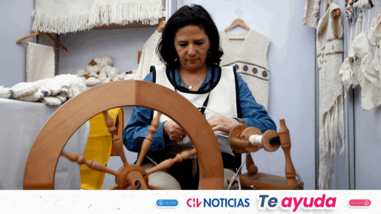 Atención, emprendedoras: Los requisitos para postular al Programa Mujer Emprende y potenciar tu negocio