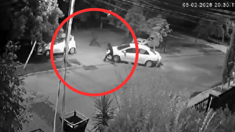 VIDEO | Pesadilla en Puente Alto: Una mamá y sus 2 hijos pequeños fueron víctimas de violento portonazo