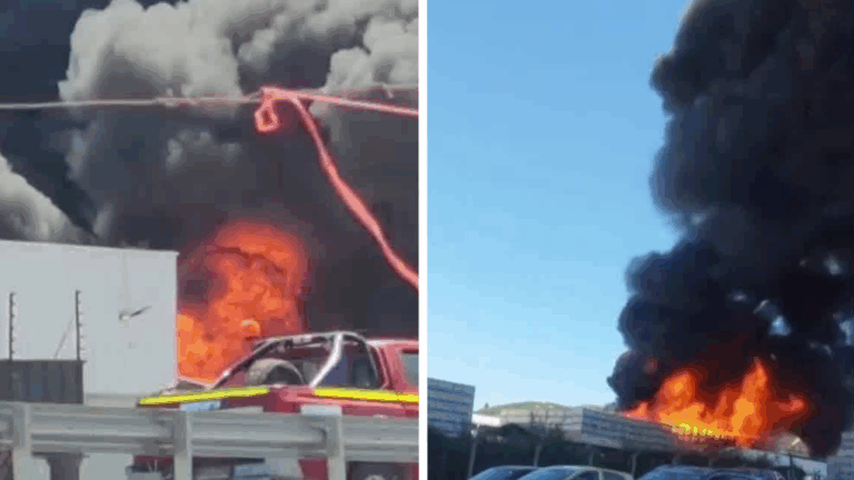 Gigantesco incendio afecta a planta procesadora de frutas en Las Cabras: Alertan por columna de humo