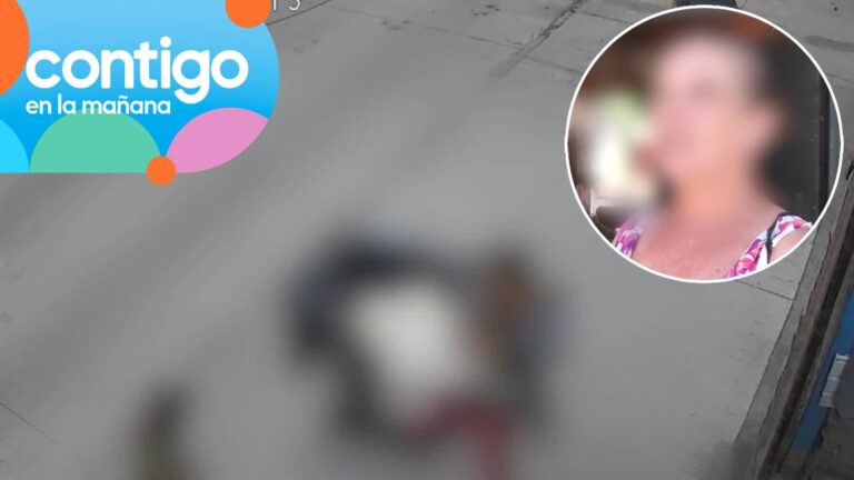 Denuncian a mujer de encerrar a perro en tacho de basura en Cerro Navia: Vecinos la acusan de agresiones