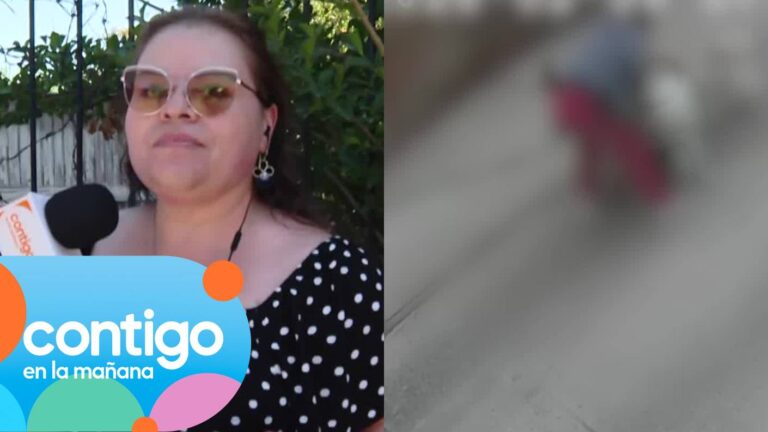 “Quizás le amputan la cola”: Revelan estado de salud de perro que fue encerrado en tacho de basura