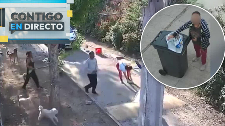 “Arrojó cosas contundentes”: Revelan historial de violencia de vecina acusada de maltrato animal en Cerro Navia