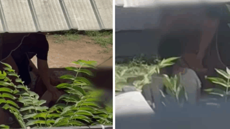 VIDEO | Los mojaban con manguera: Acusan a cuidadoras de maltrato a adultos con discapacidad cognitiva