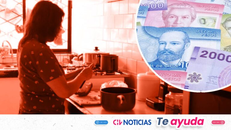 Bono de Protección para dueñas de casa 2026: Revisa acá si recibes el pago por 24 meses sin postular