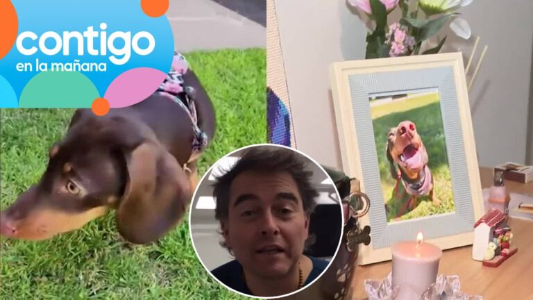 Llevaron perrita para operarla y se la entregaron muerta: Graves denuncias contra veterinaria de “Lindorfo”