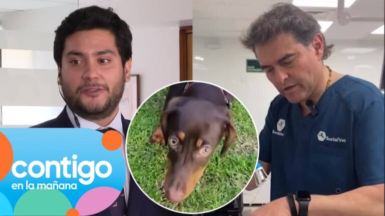 Dueño de mascota fallecida en veterinaria de “Lindorfo” Jiménez reveló discusión con él: “No te voy a…”