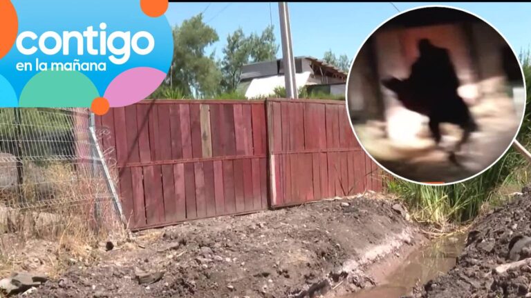 Peleas, golpes y por el “portón de la discordia” en Batuco: 40 familias encerradas por conflicto vecinal