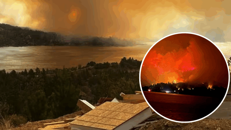 Alerta Roja en Vichuquén: 3 viviendas y más de 200 hectáreas han sido consumidas por las llamas