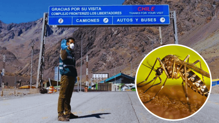 Cierre de Paso Los Libertadores comienza este jueves: Encontraron posible mosquito portador de dengue