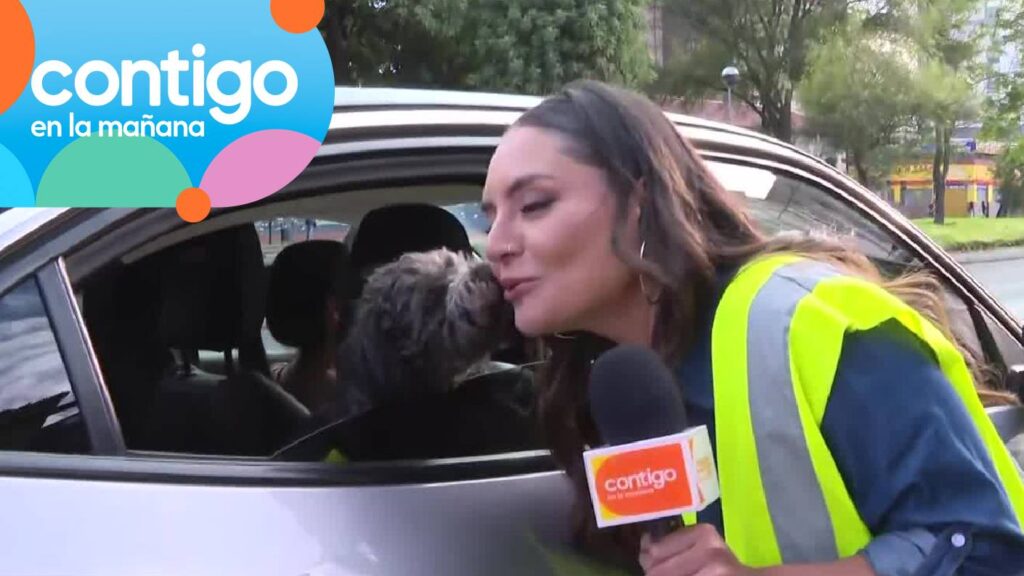 ¡Un pasajero muy coqueto! Perrito sorprendió con besito a Dani Muñoz en fiscalización vehicular