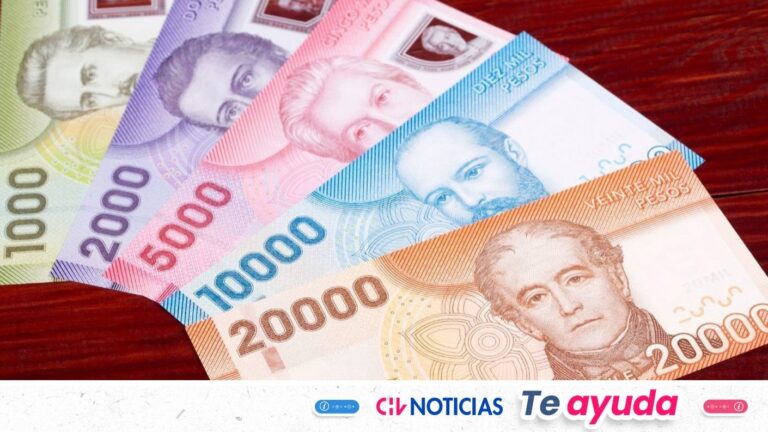 Bono Marzo 2026: Revisa fechas de pago y cómo recibir los $66.834 del Aporte Familiar Permanente